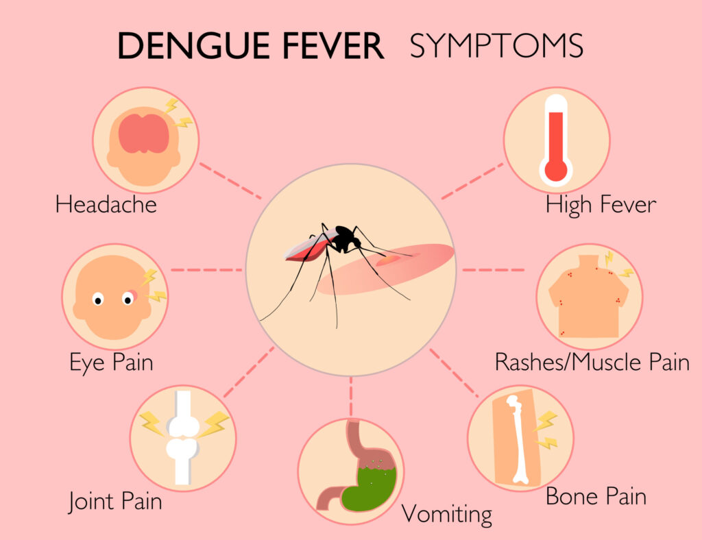 dengue fever symptoms and treatment
