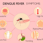dengue fever symptoms and treatment