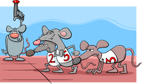 How to Achieve Success: Break Free from the Rat Race