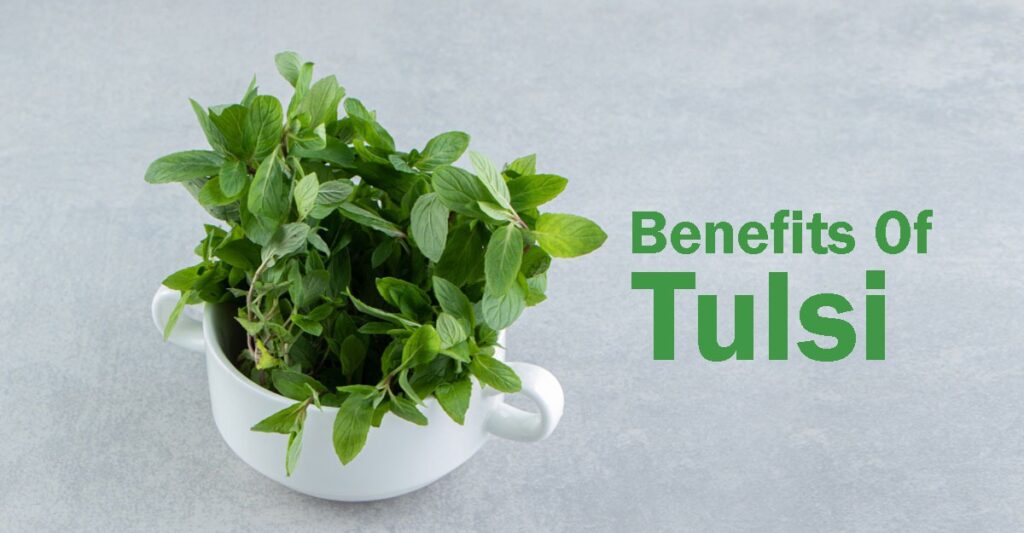 health benefits of tulsi