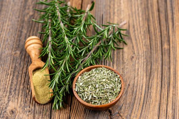 Rosemary: Health Benefits, Precautions, and Drug Interactions