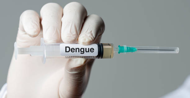 Dengue – Symptoms and Causes, Home Remedies