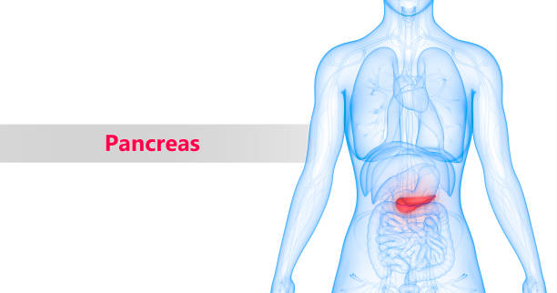 Top 11 Fruits to Eat for Pancreatic Cancer | Boost Health & Well-being
