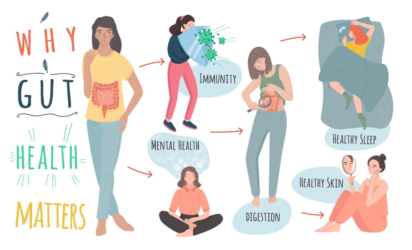 gut health and overall wellness