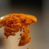 The Incredible Health Benefits of Turmeric: Unlocking Nature’s Golden Secret
