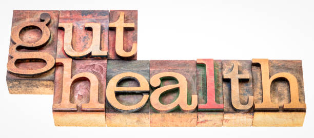 The Impact of Gut Health on Overall Wellness: Why Your Stomach Deserves More Respect