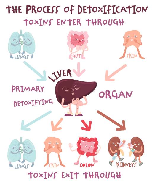 Liver Cleanse: How To Detox Your Liver Naturally