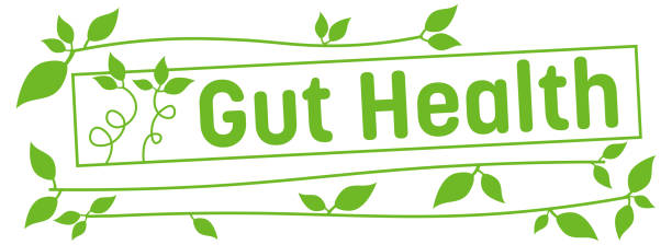 Boost Your Digestion Naturally: Effective Home Remedies for a Healthier Gut