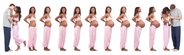 istockphoto-468877773-612x612