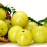 Amla Benefits