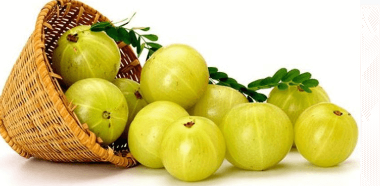 Amla Benefits