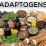 Adaptogens