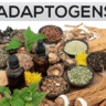 adaptogens and moringa