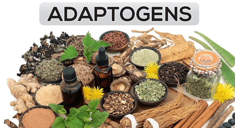adaptogens and moringa