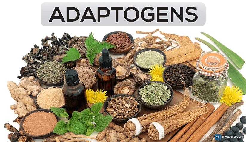 Adaptogens