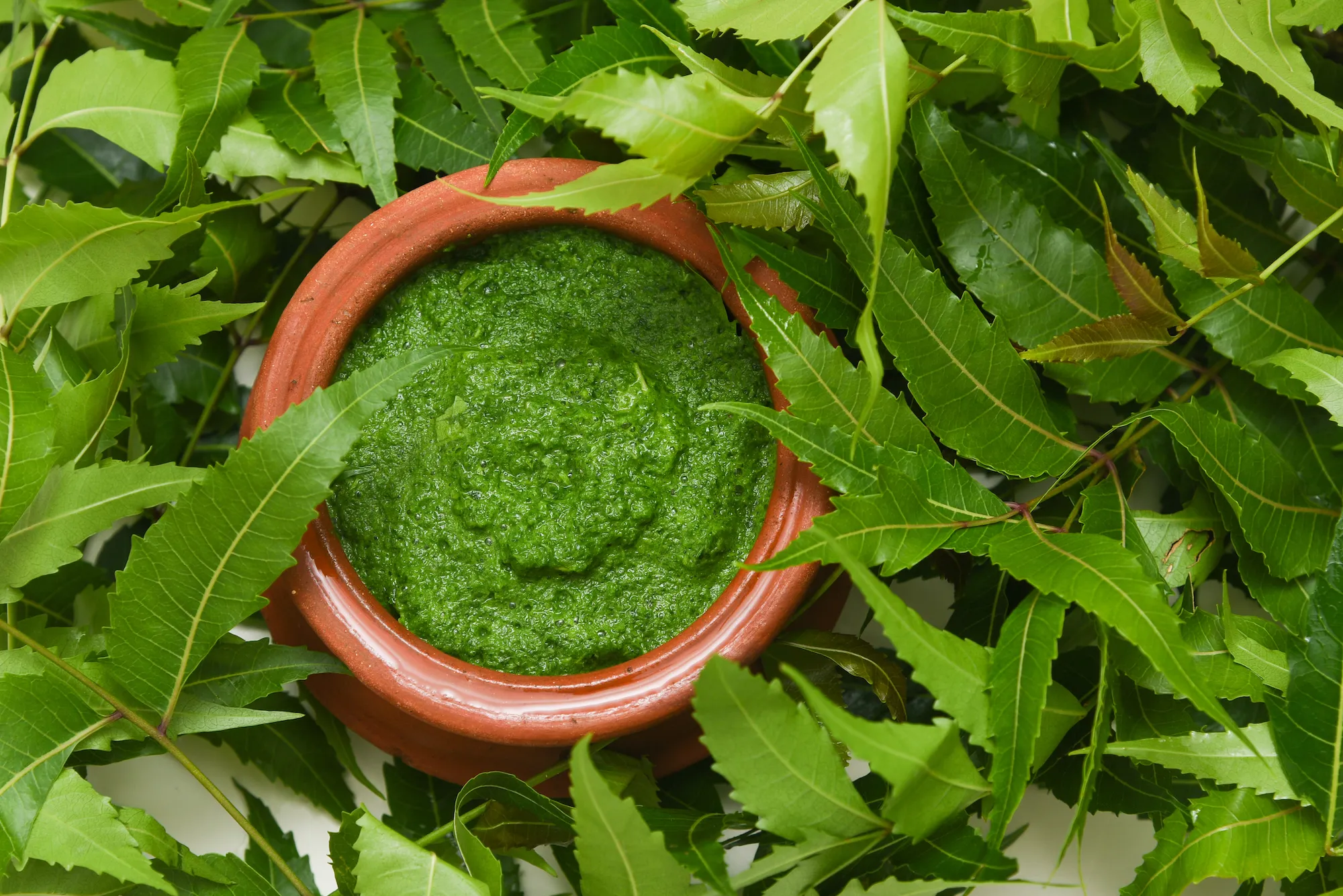 Neem benefits