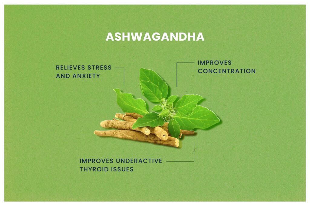 Ashwagandha benefits for stress & anxiety