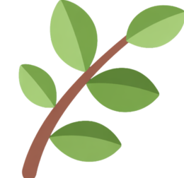 Green leaf branch HerbeeLife favicon