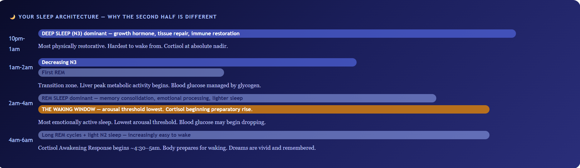 Wake Up Between 2AM and 4AM