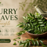 curry leaves benefits