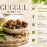 guggul benefits