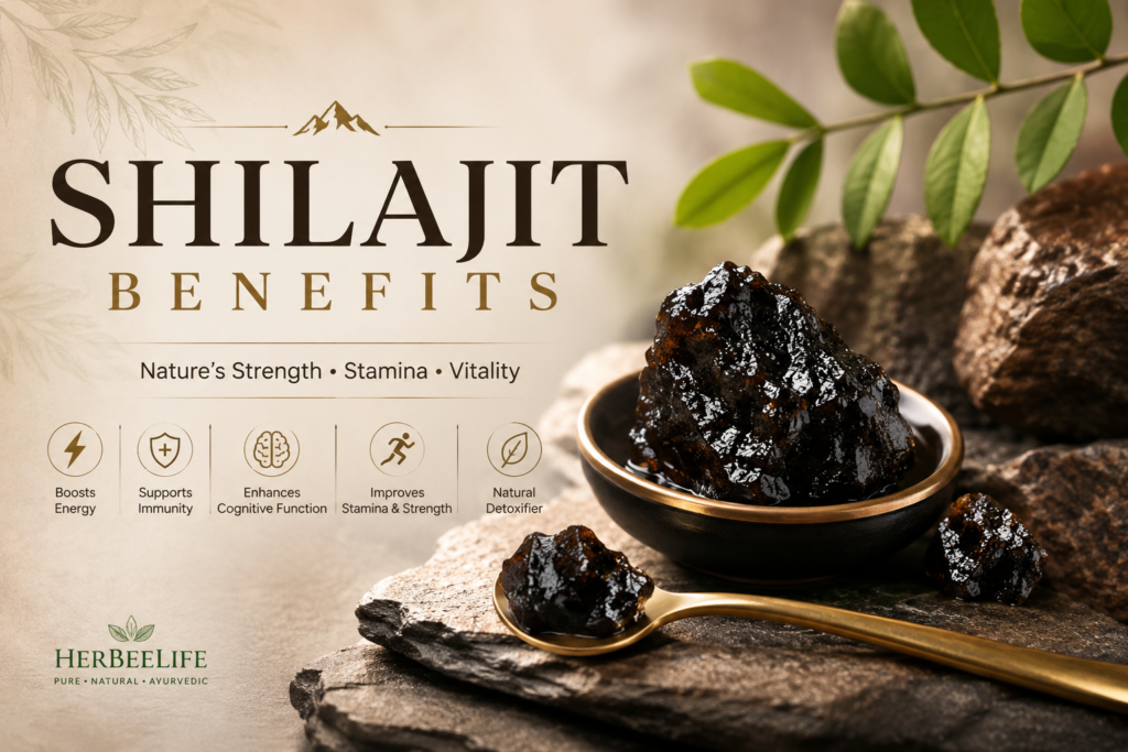 shilajit benefits
