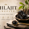 shilajit benefits